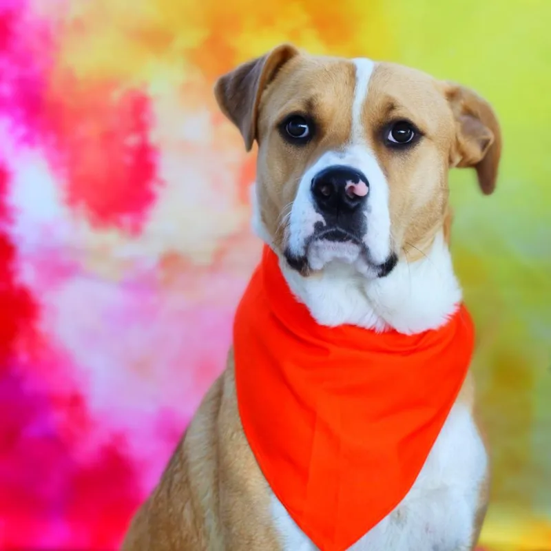 Toby Jum thumbnail 2