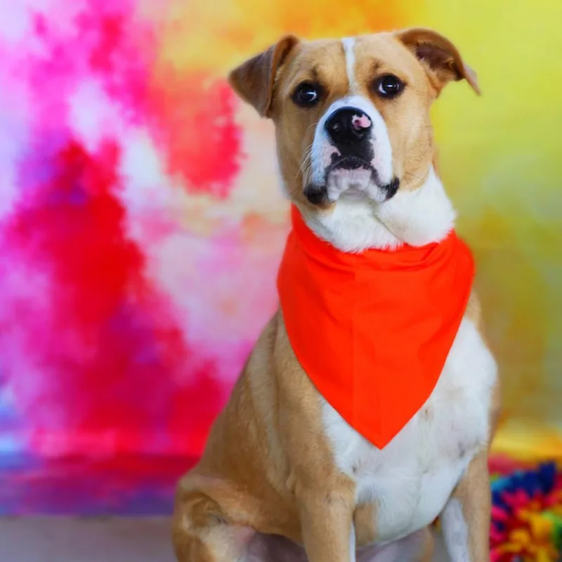 Toby Jum thumbnail 3