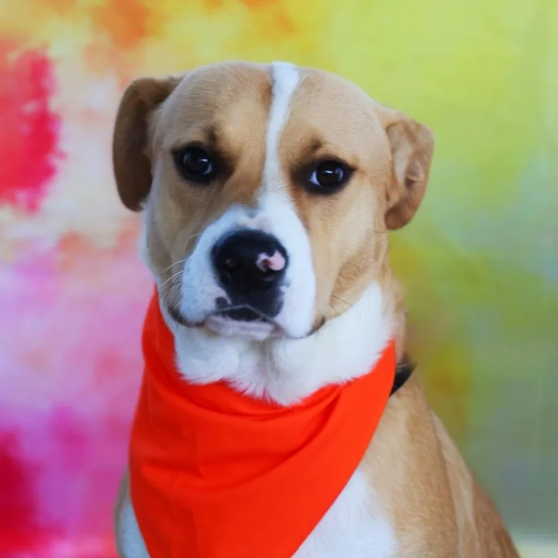 Toby Jum thumbnail 4