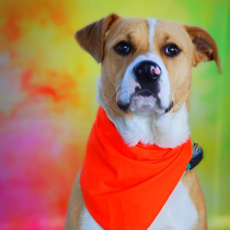 Toby Jum thumbnail 6