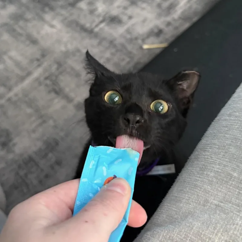 Lil Paulie thumbnail 2