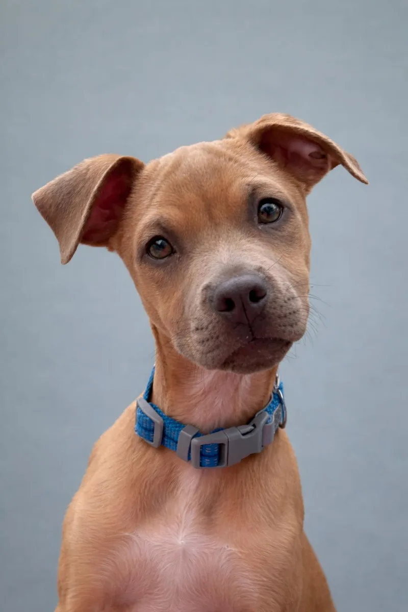 Gouda  My Mom thumbnail 5