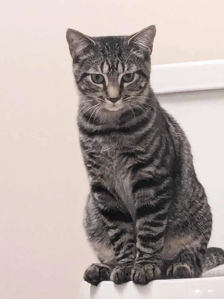 Pop Rock thumbnail 2