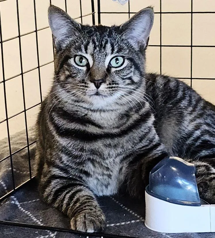 Pop Rock thumbnail 3