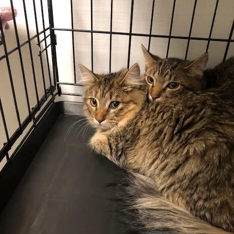 Floof thumbnail 2