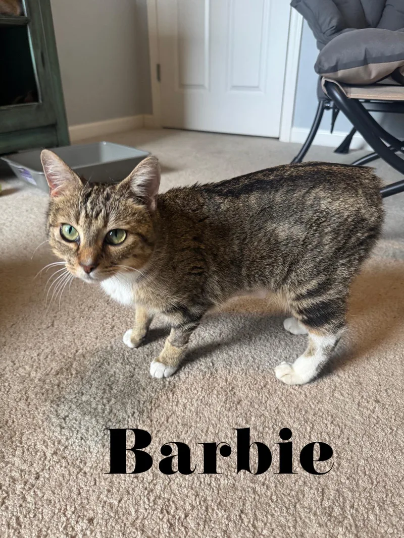 Barbie