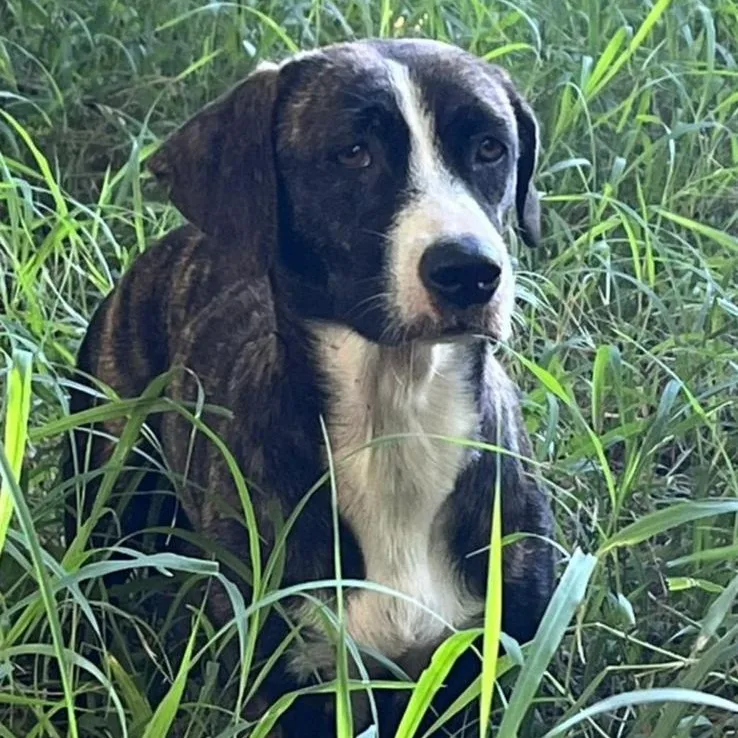 Lola Faith "i Believe thumbnail 2