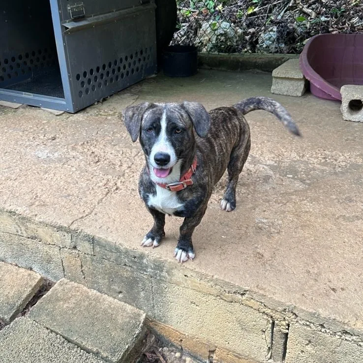 Lola Faith "i Believe thumbnail 3