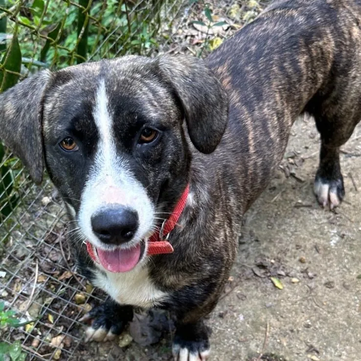 Lola Faith "i Believe thumbnail 4