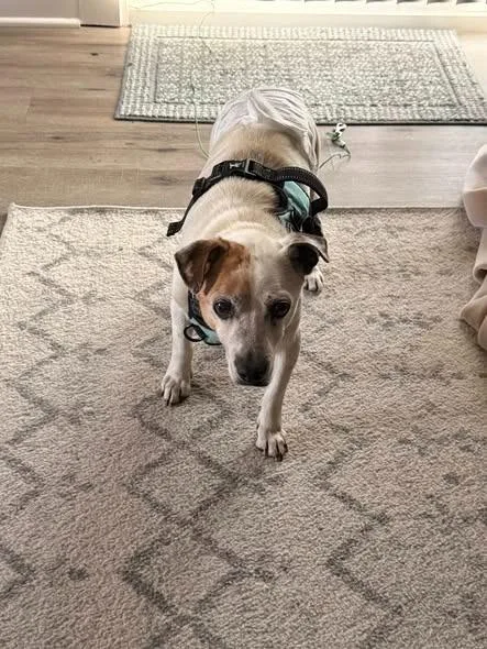 Billie Bob thumbnail 2