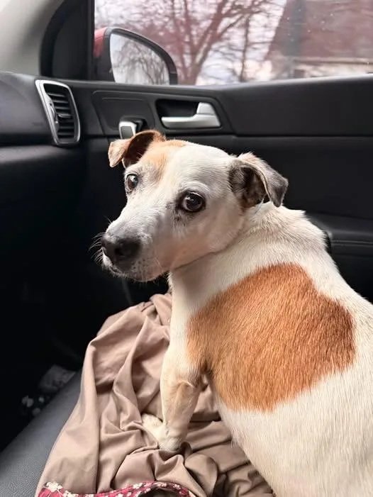 Billie Bob thumbnail 3