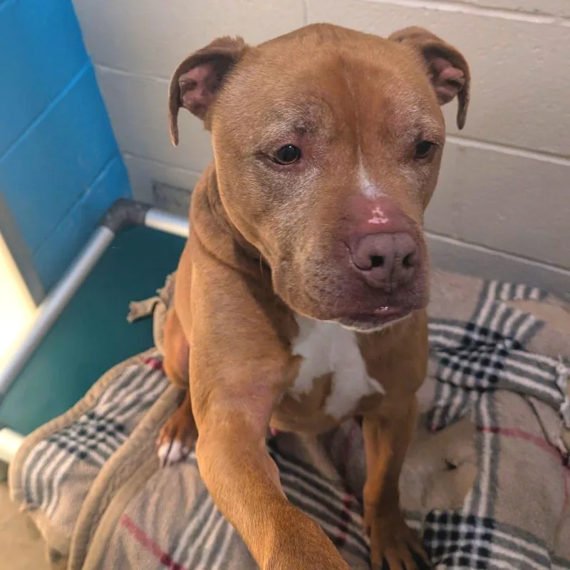 Leo Skepi thumbnail 2