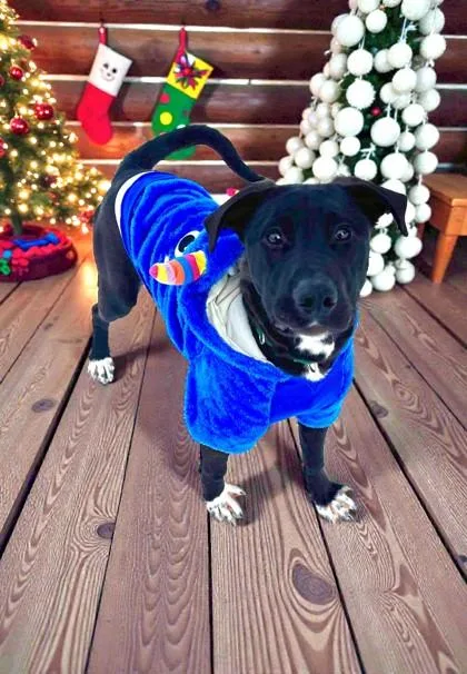 T`challa thumbnail 5