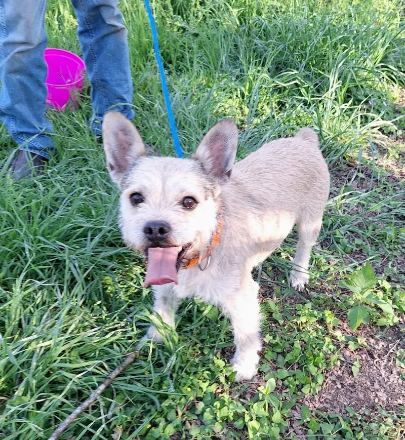 Pernell Wvt thumbnail 4