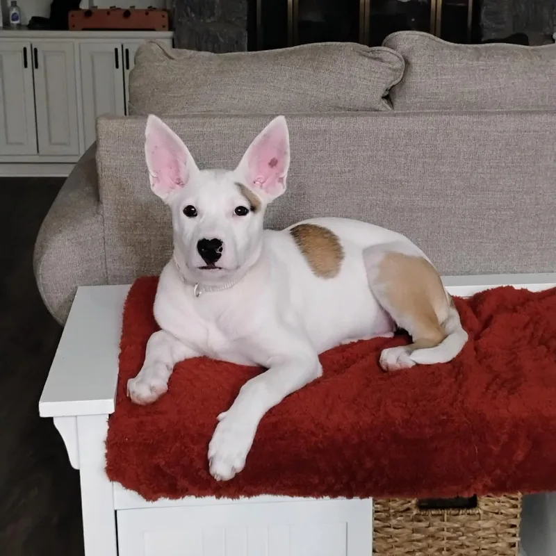 Betty Ross thumbnail 2