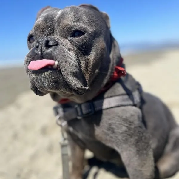 Nala