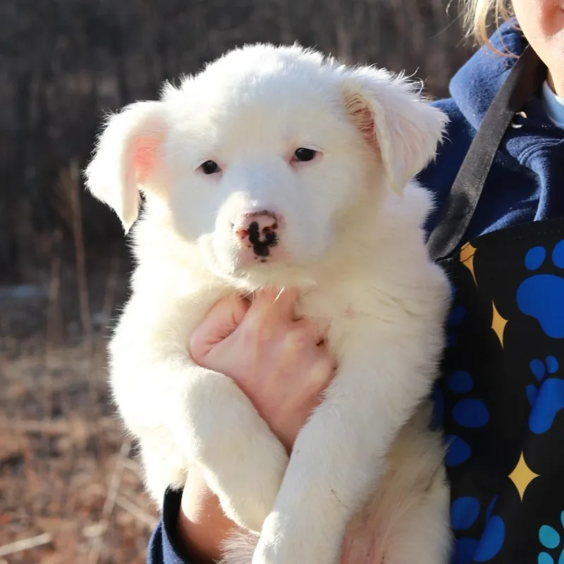 Ct Icelyn Avail Apr thumbnail 4