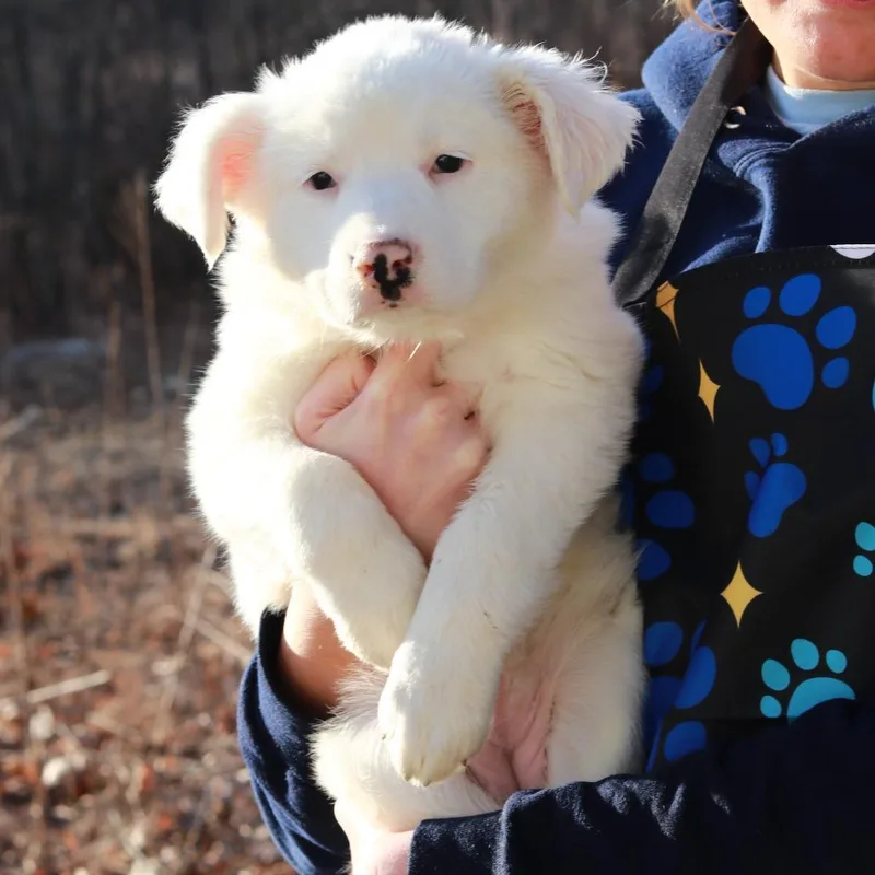 Ct Icelyn Avail Apr thumbnail 6