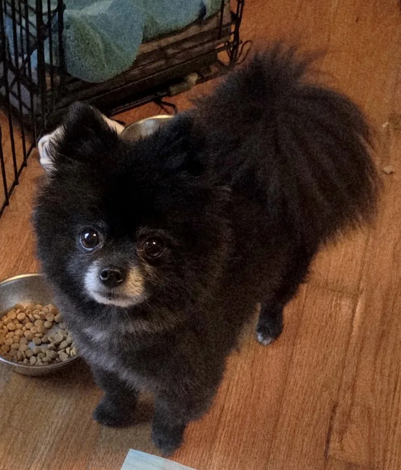 Ursa & Mocha thumbnail 4