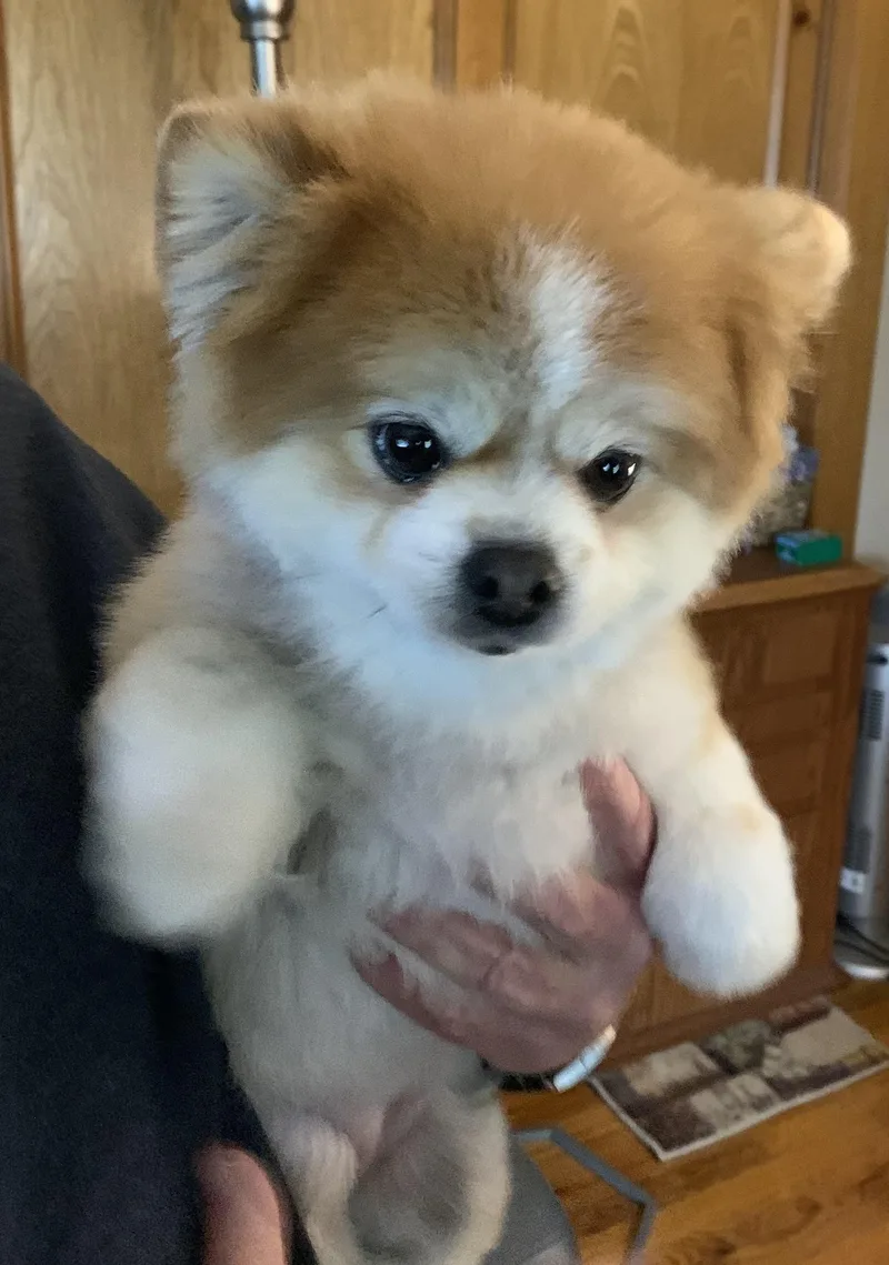 Ursa & Mocha thumbnail 5