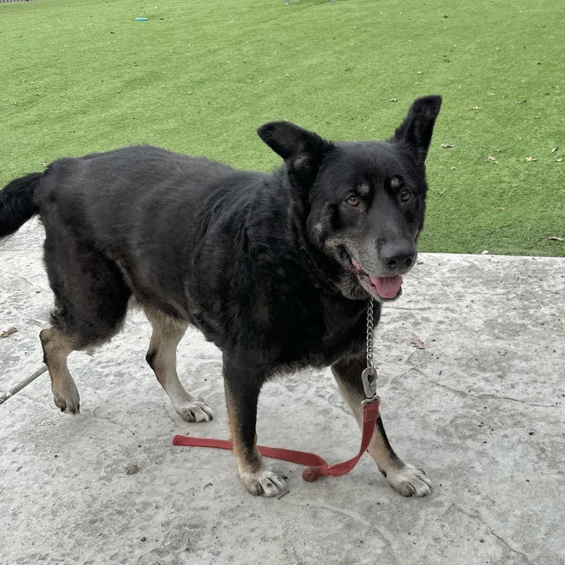 Boca  Ecas thumbnail 4