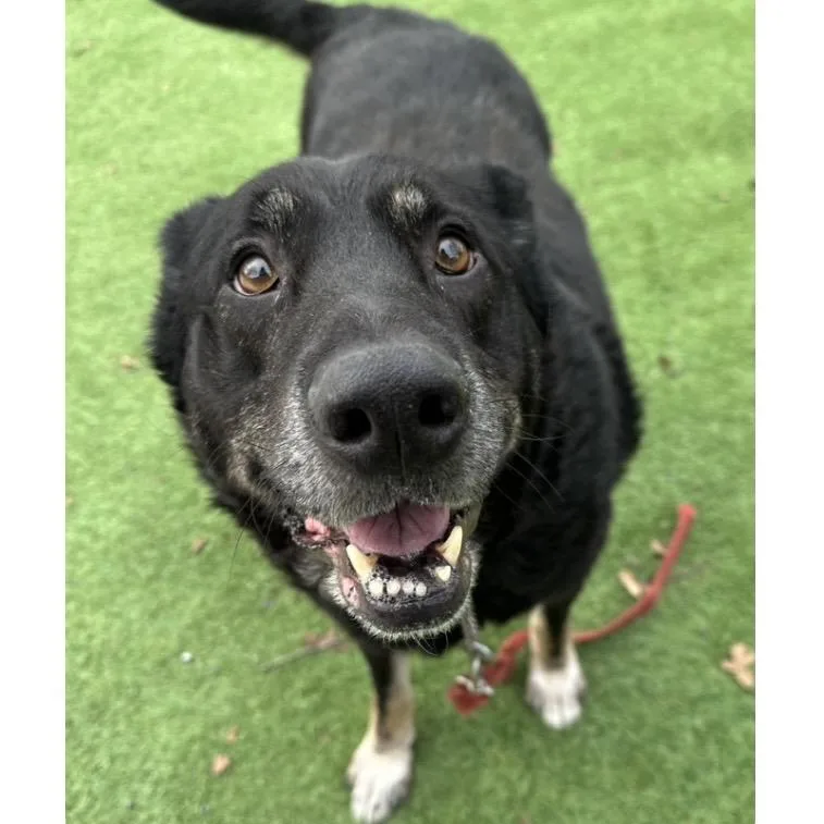 Boca  Ecas thumbnail 6