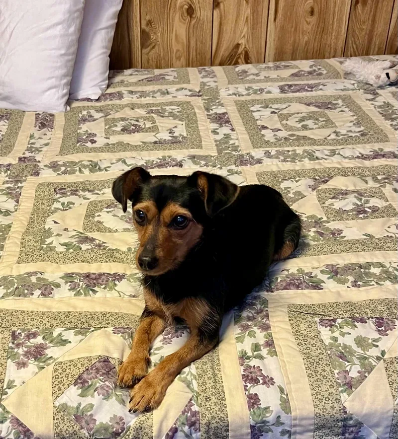 Roxie