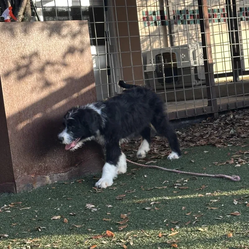 Serenity thumbnail 2