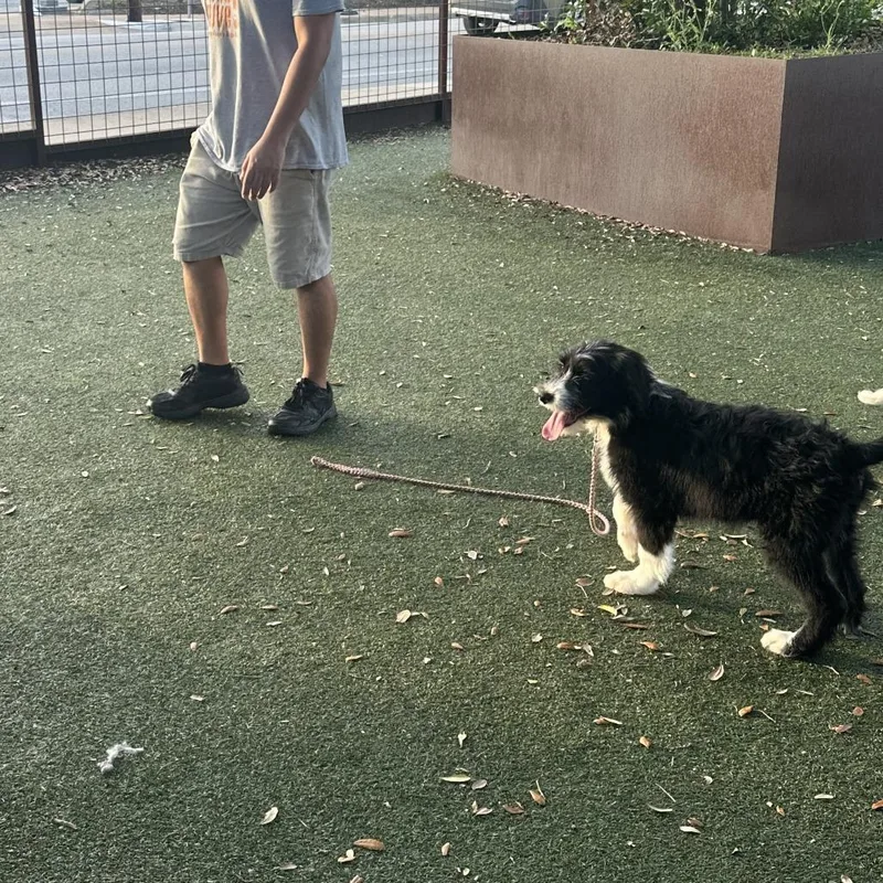 Serenity thumbnail 3