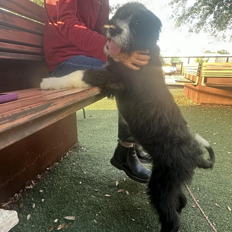 Serenity thumbnail 4