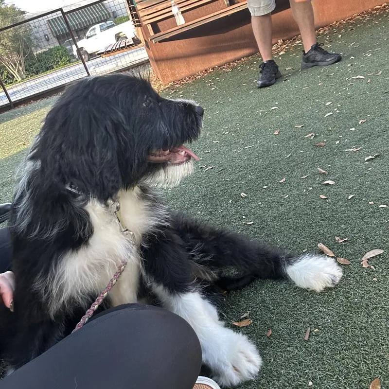 Serenity thumbnail 5