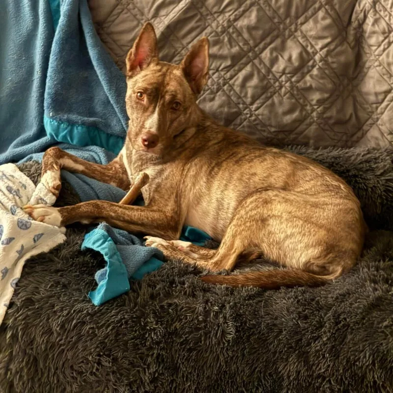 Lily Luz thumbnail 5