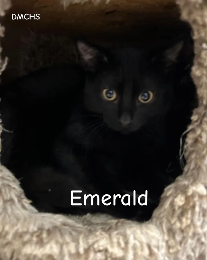Emerald thumbnail 2