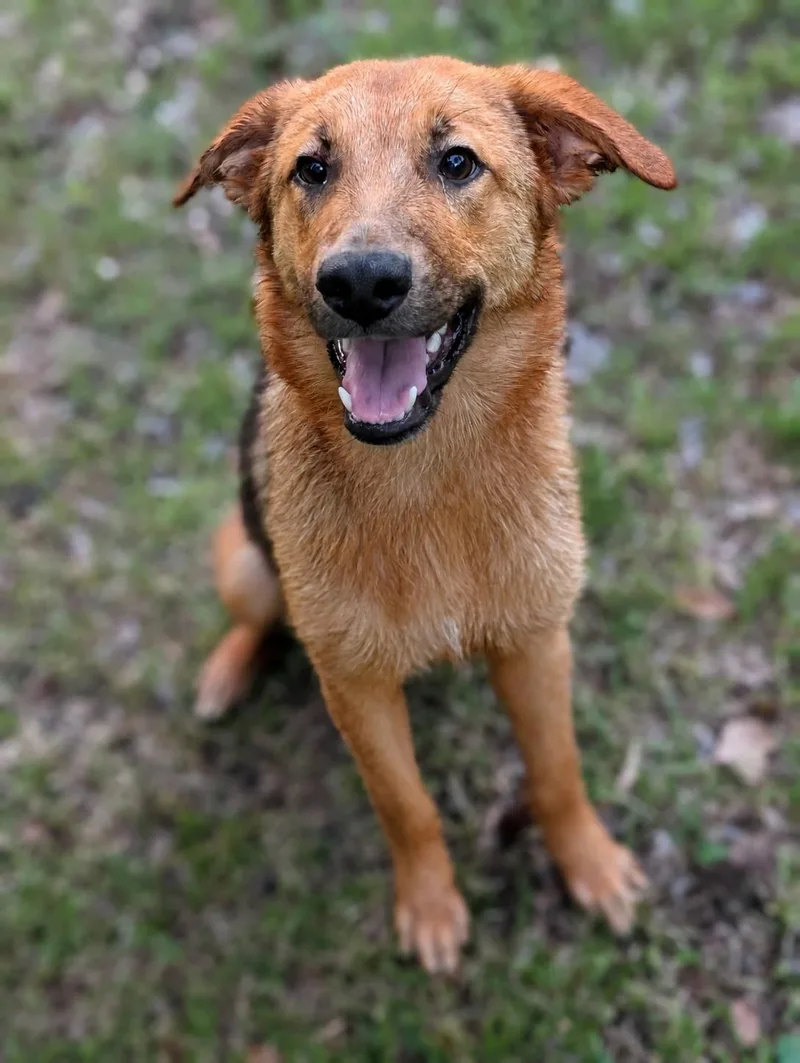 Reilly