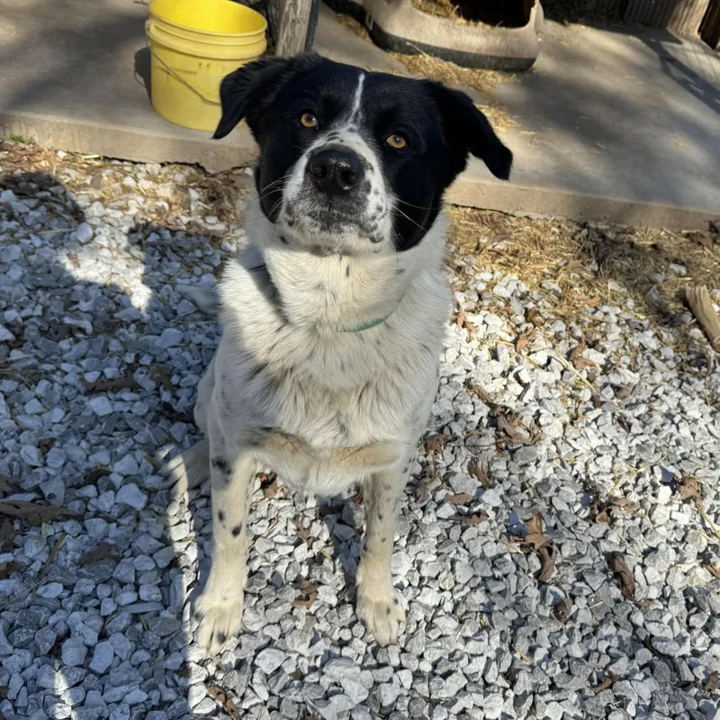 Max