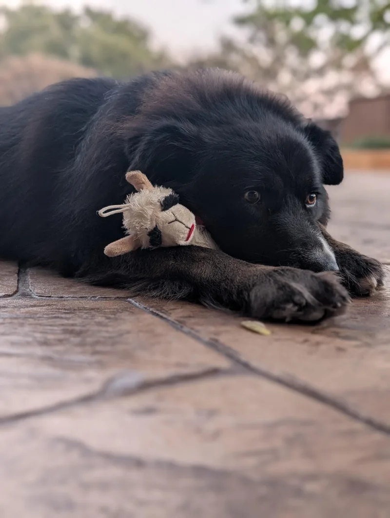 Bowie Gdp thumbnail 2