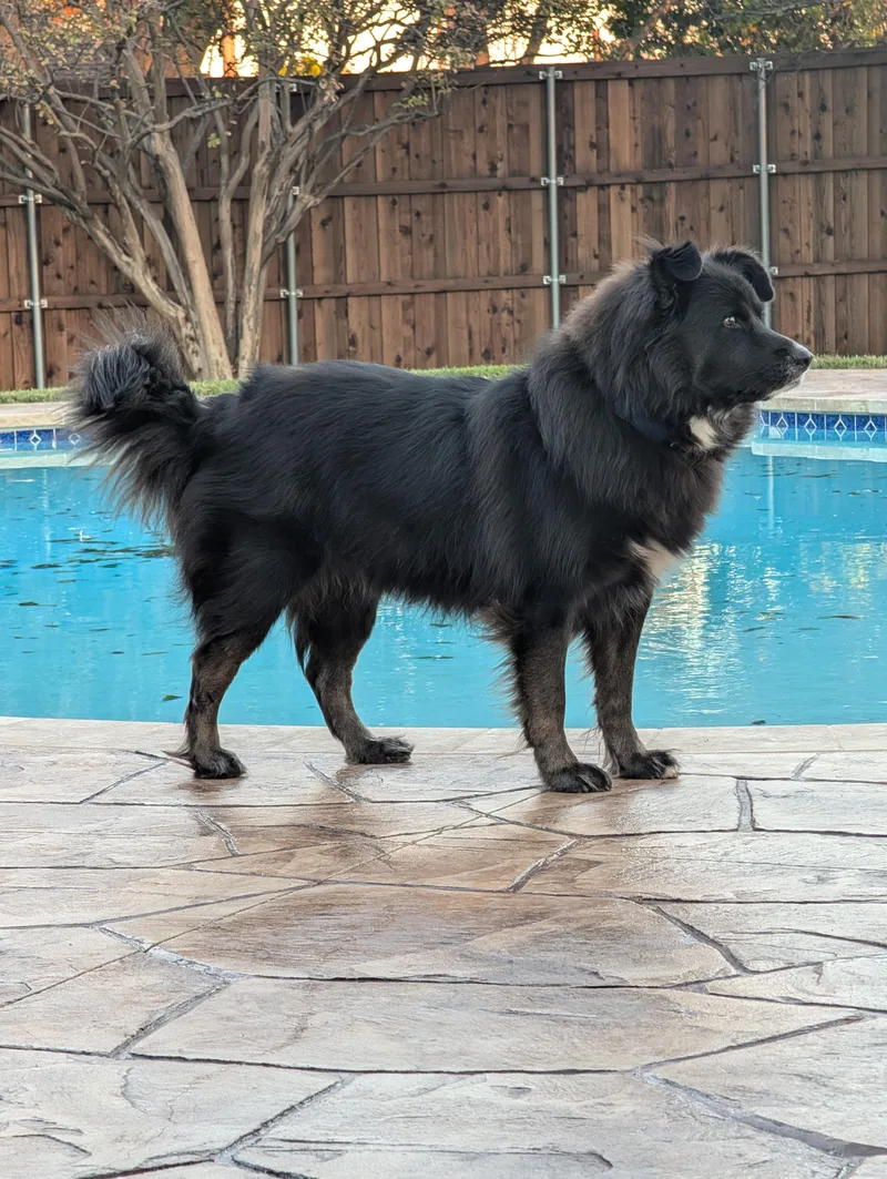 Bowie Gdp thumbnail 3