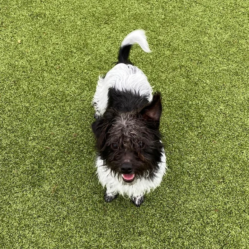 Sprocket thumbnail 2