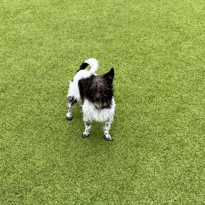 Sprocket thumbnail 3