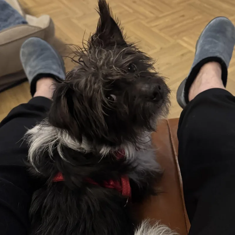 Sprocket thumbnail 4