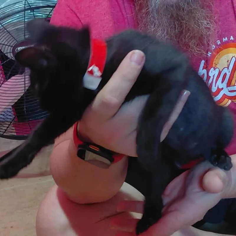 Trouble thumbnail 2