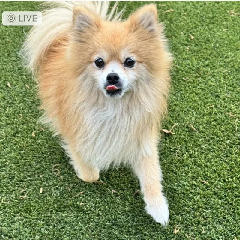 Dade D Arriving thumbnail 2