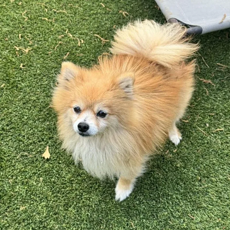 Dade D Arriving thumbnail 3