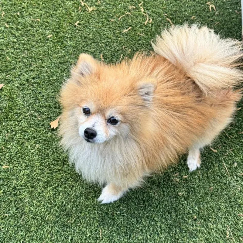 Dade D Arriving thumbnail 4