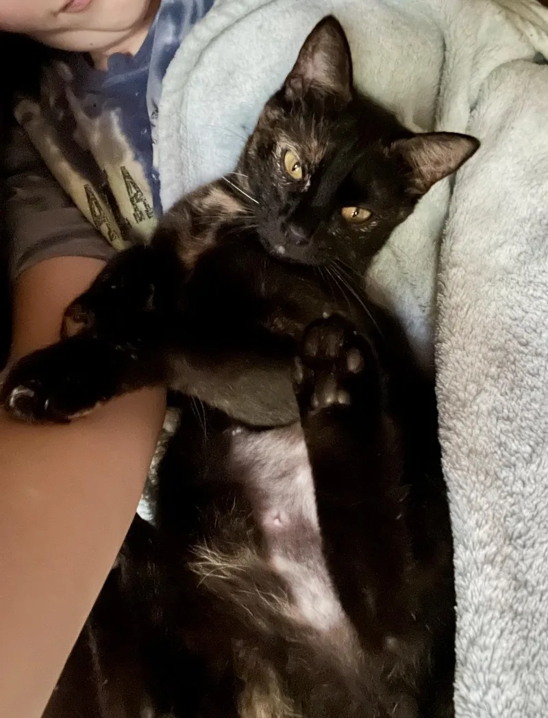 Cleo thumbnail 4