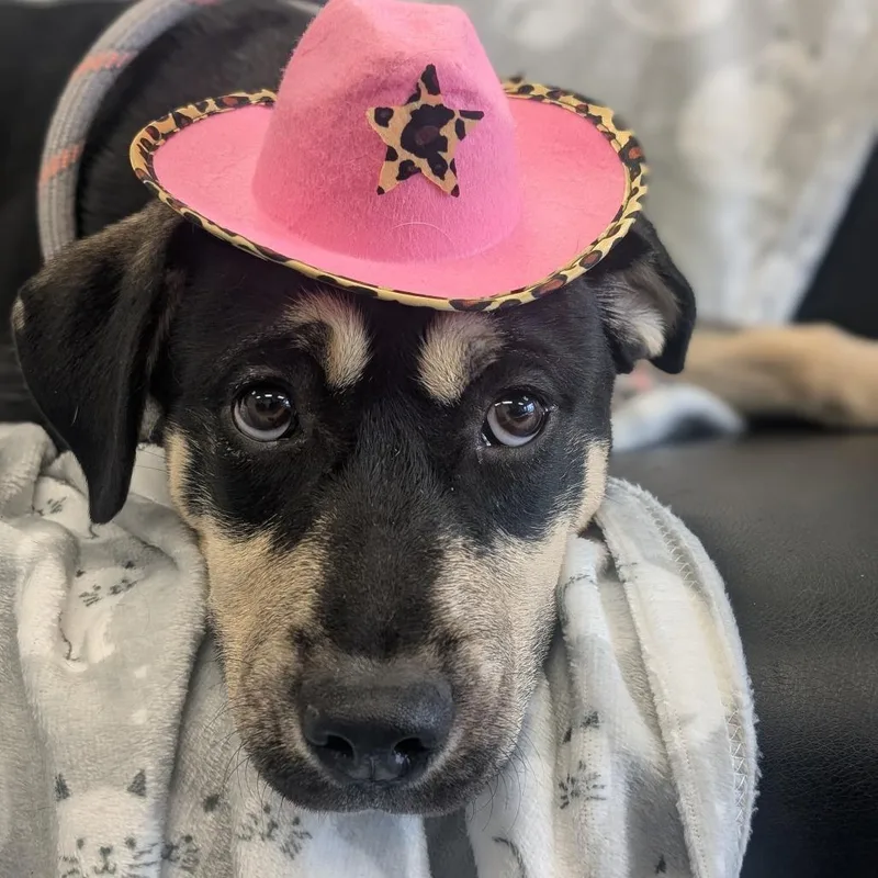 Solstice thumbnail 2