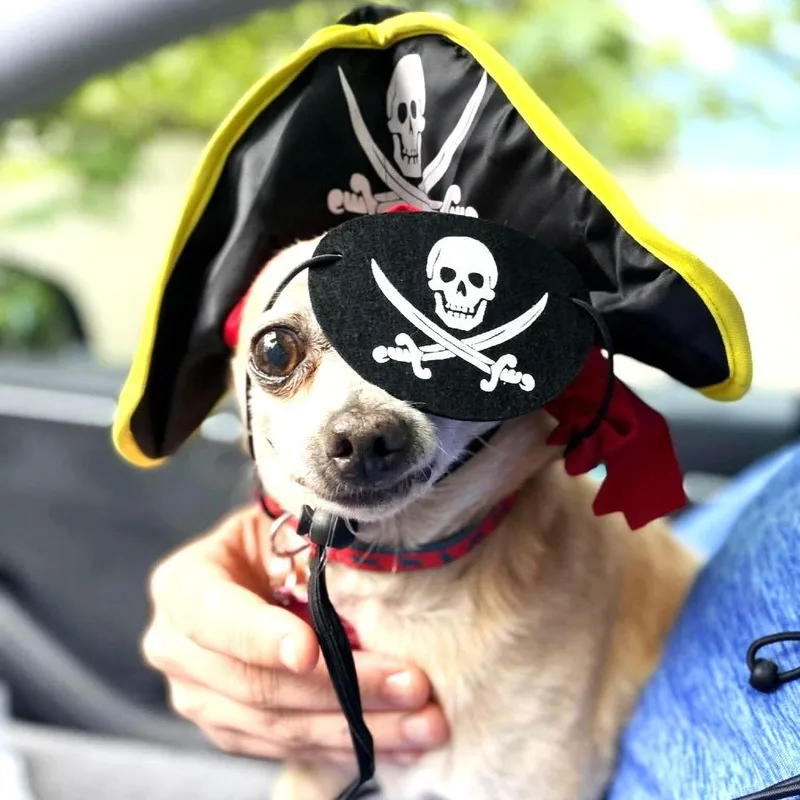 Winston thumbnail 3