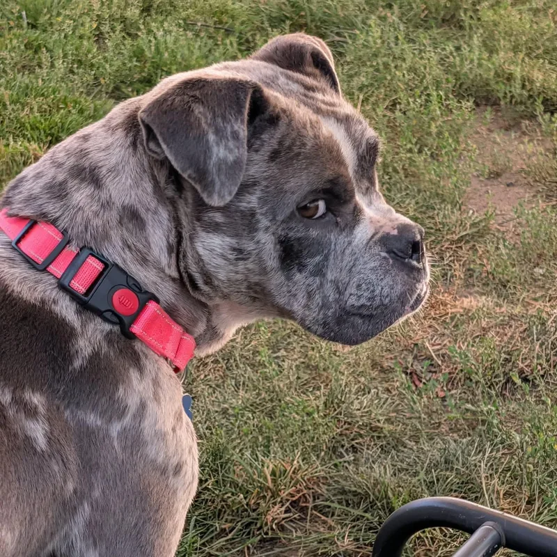 Winnie
