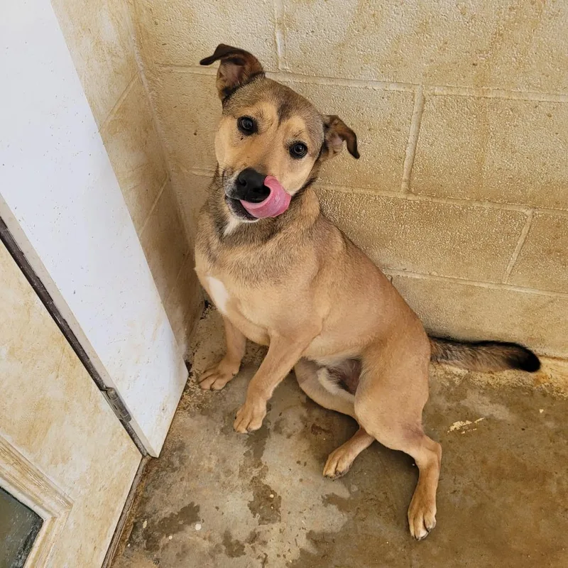 Handsome thumbnail 2