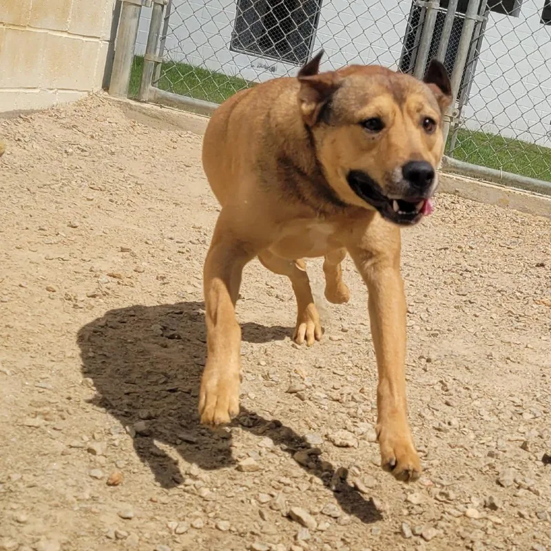 Handsome thumbnail 3